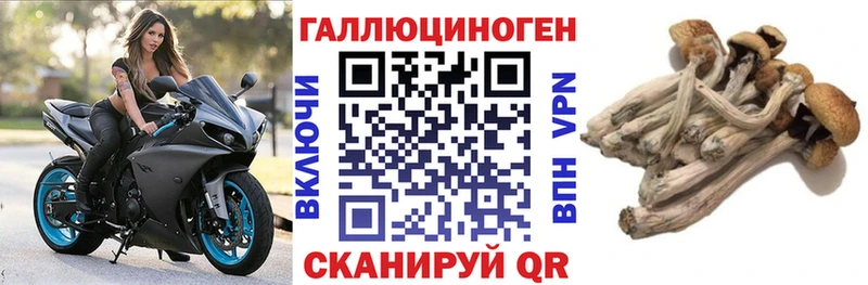 Галлюциногенные грибы Magic Shrooms  ссылка на мегу рабочий сайт  Зуевка 